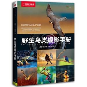 野生鸟类摄影手册